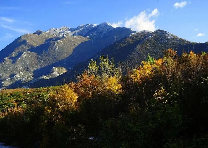 Vinka Villa Kozica