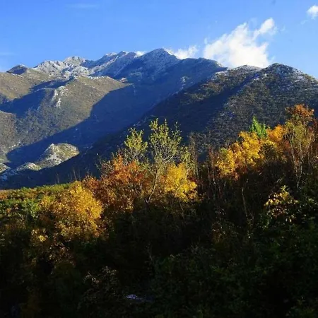 Vinka Villa Kozica